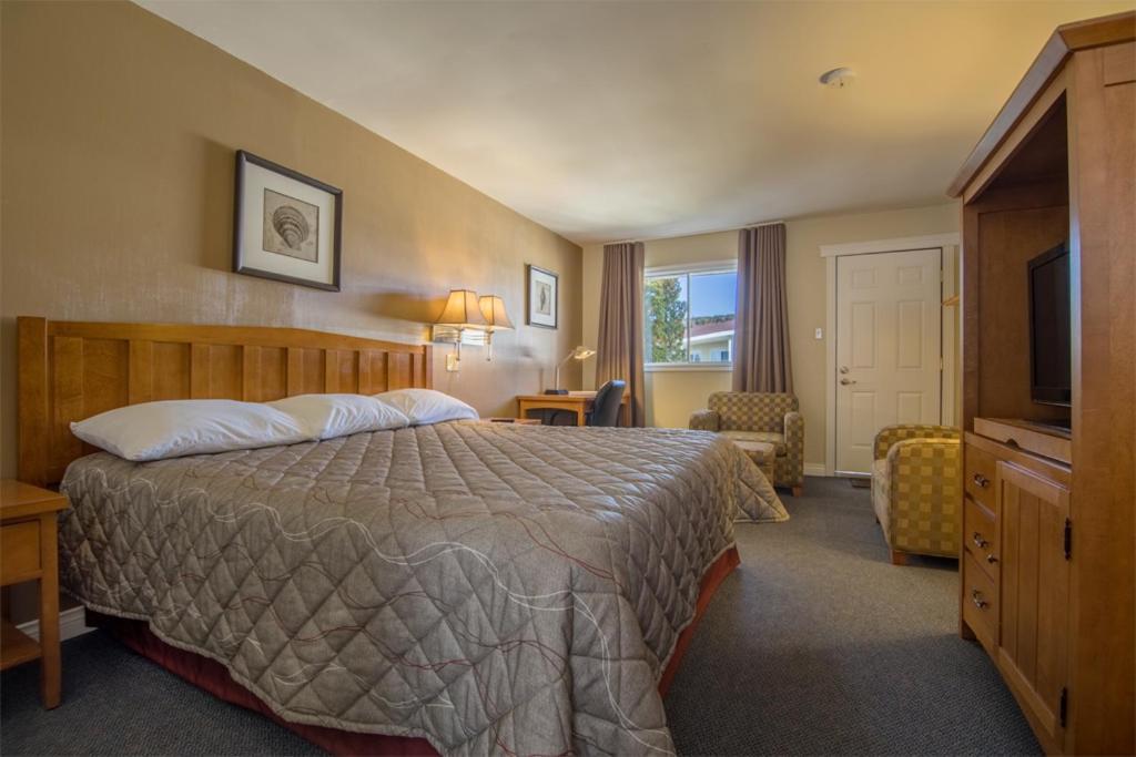 אלמה Alpine Motor Inn מראה חיצוני תמונה